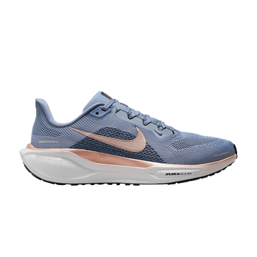 Nike Wmns Air Zoom Pegasus 41 'Ashen Slate Metallic Red Bronze'