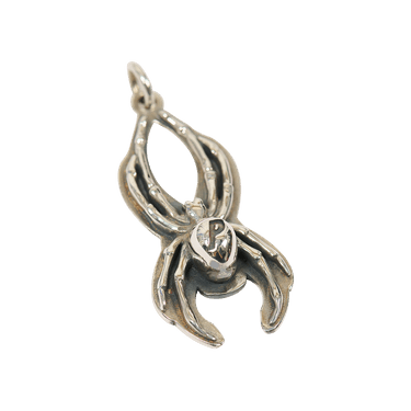 PALACE×TGF 24AW SPIDER PENDANT SILVER Buy Palace TGF Spider Pendant 'Silver' - P27TGFACC004 | GOAT