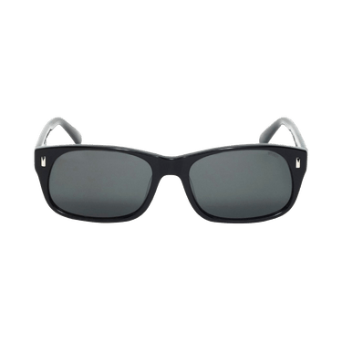 Stussy Michael Sunglasses 'Black/Black Lens'