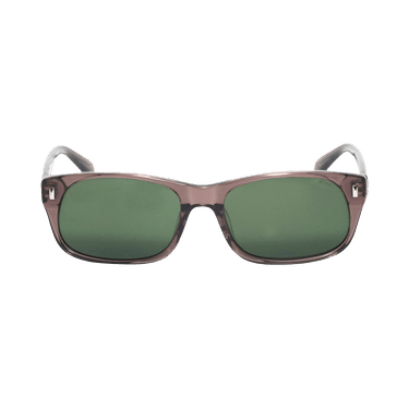 Buy Stussy Michael Sunglasses 'Transparent Taupe/Green Lens