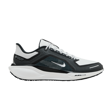 Nike Air Zoom Pegasus 41 GORE-TEX 'Iron Grey Summit White'