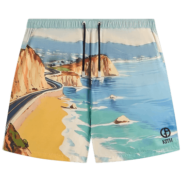 Kith x Giorgio Armani Malibu Collins Swim Short 'Multi'