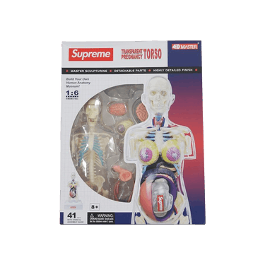 Buy Supreme Female Anatomy Model 'Clear' - FW18A71 CLEAR | GOAT