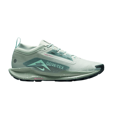 Nike Pegasus Trail 5 GORE-TEX 'Light Silver Clay Green'