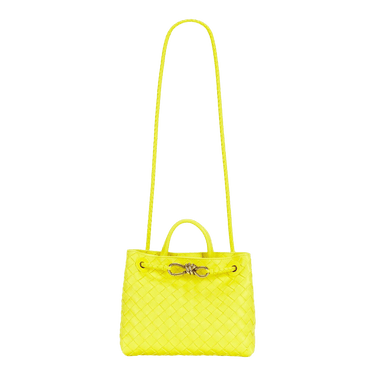 Bottega Veneta Small Andiamo 'Sulfur/Muse B'