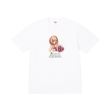 Buy Supreme Dust Tee 'White' - FW25T72 WHITE | GOAT