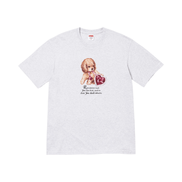 Buy Supreme Dust Tee 'Ash Grey' - FW25T72 ASH GREY | GOAT