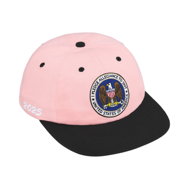 Buy Supreme Pledge Allegiance 6-Panel 'Pink' - FW25H121 PINK | GOAT