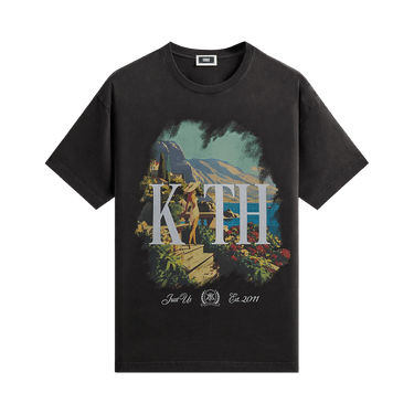 Kith Getaway Vintage Tee 'Black'