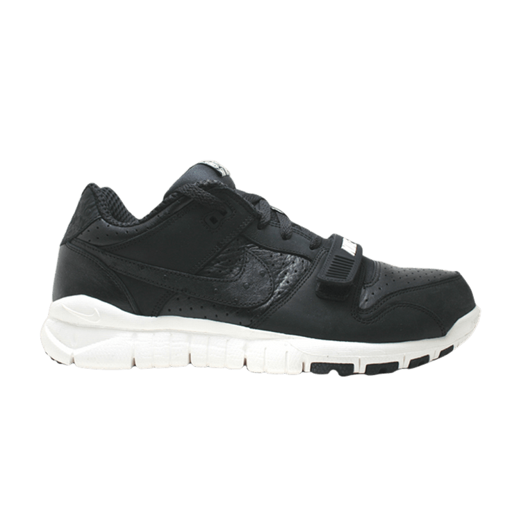 Buy Trainer Dunk Low Stussy World Tour 315731 001 GOAT
