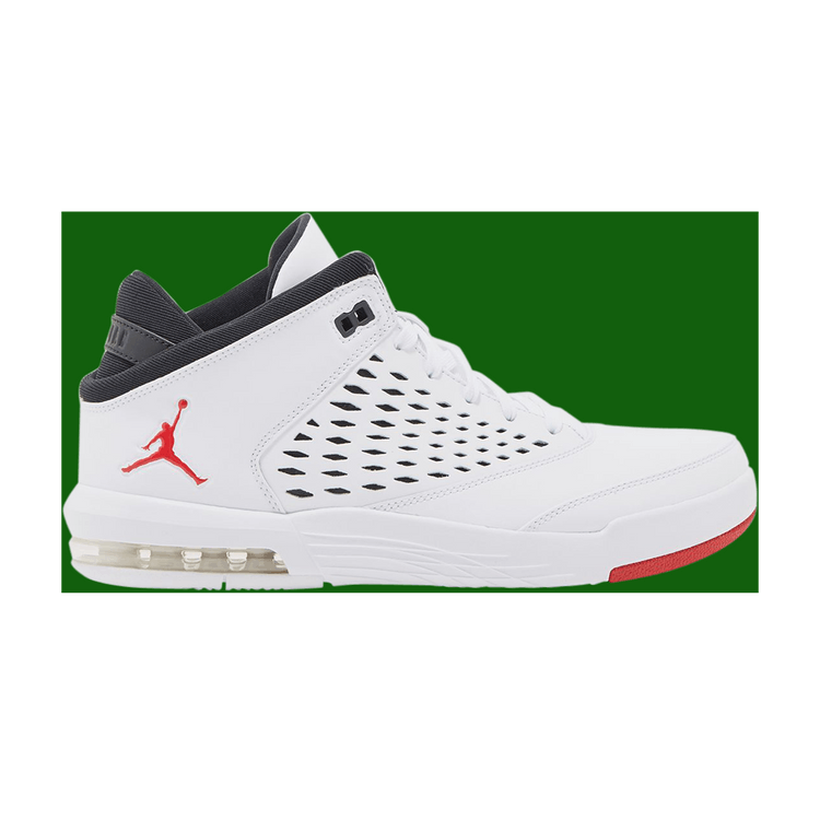 jordan flight origin 4 gg
