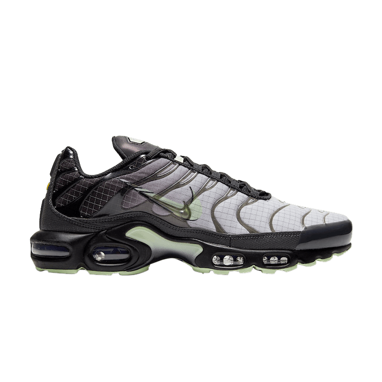 Buy Air Max Plus Future Swoosh CT1619 001 GOAT