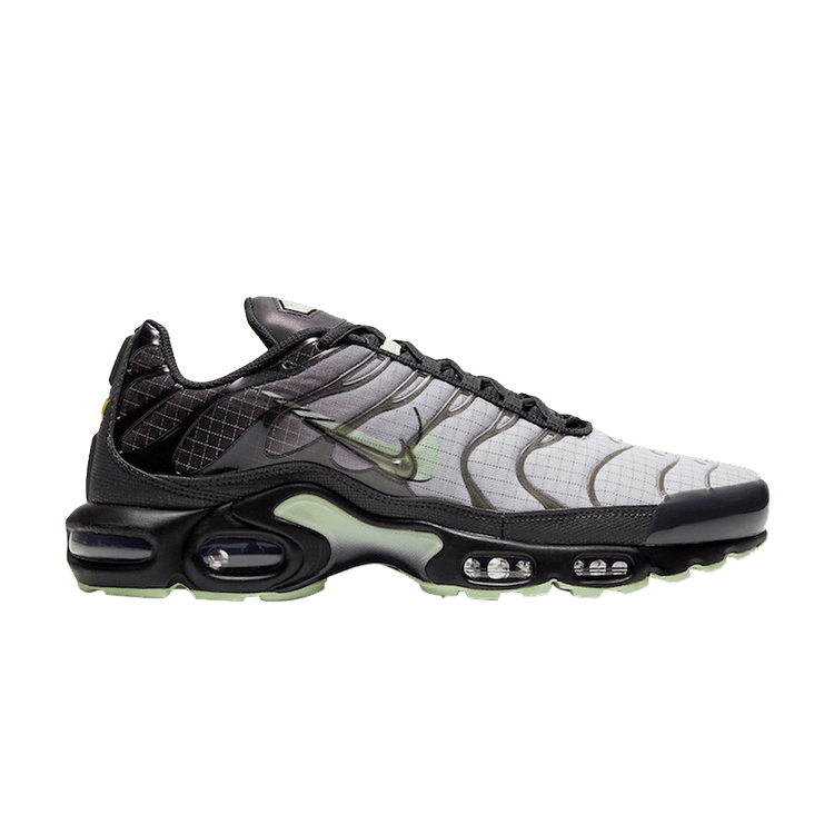 Buy Air Max Plus 'Future Swoosh' - CT1619 001 | GOAT