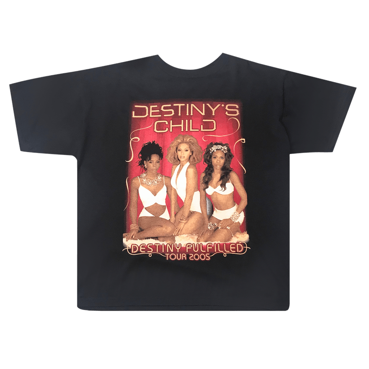 Destiny's Child 2005年ワールドツアーTシャツ Lサイズ VINTAGE Destiny's Child Destiny Fulfilled Tour T-Shirt 2005