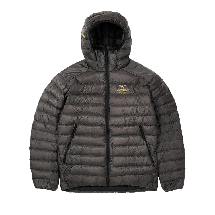 Palace X Arc teryx Cerium Lt Hoodie Grey Culture Circle