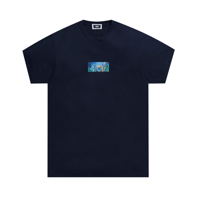 kith fish tank