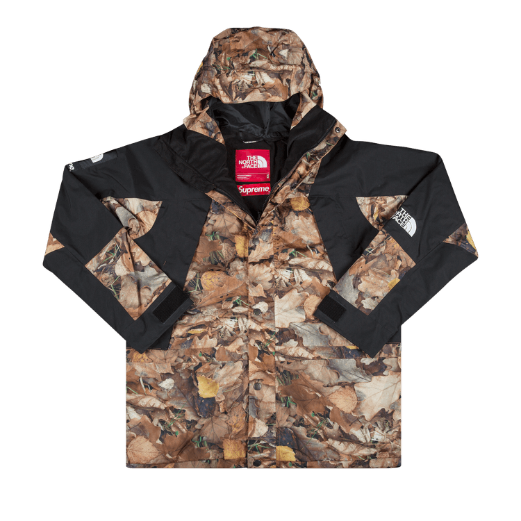 Supreme x The North Face Mountain Light Jacket 'Leaves'