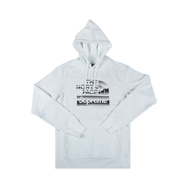 Supreme north face metallic hoodie new arrivals