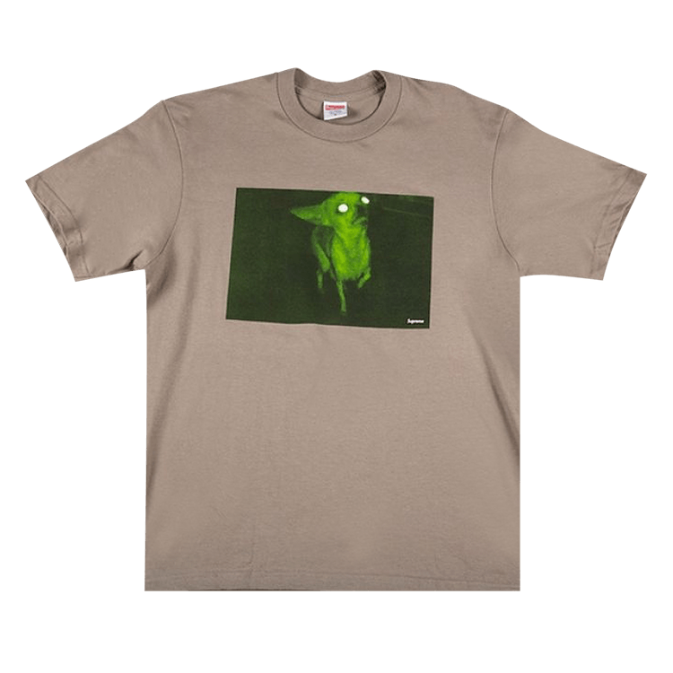 Chihuahua supreme shirt online