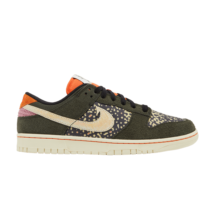 Nike Dunk Low Rainbow Trout1
