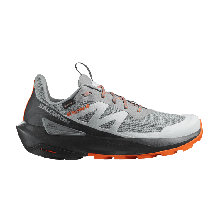 Salomon Elixir Activ GORE-TEX 'Sharkskin'