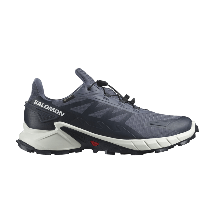 Buy Salomon Supercross 4 GORE-TEX 'Grisaille Carbon' - L47462300