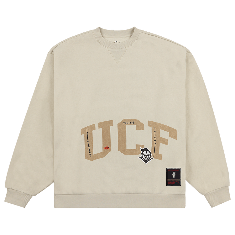 Ucf champion hoodie discount