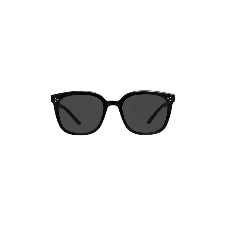 Gentle Monster By 01 Sunglasses 'Black'