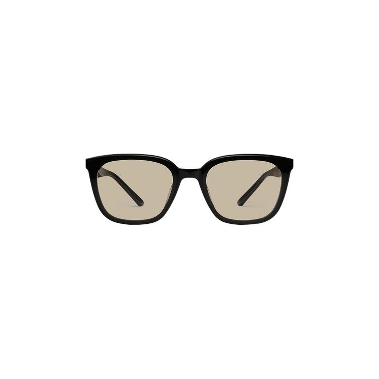 Buy Gentle Monster Pino 01 Br Sunglasses 'Black' - PINO 01
