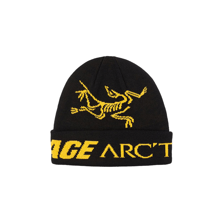 Achetez des Palace x Arc'teryx Beanie 'Black' - P19ARXBN001