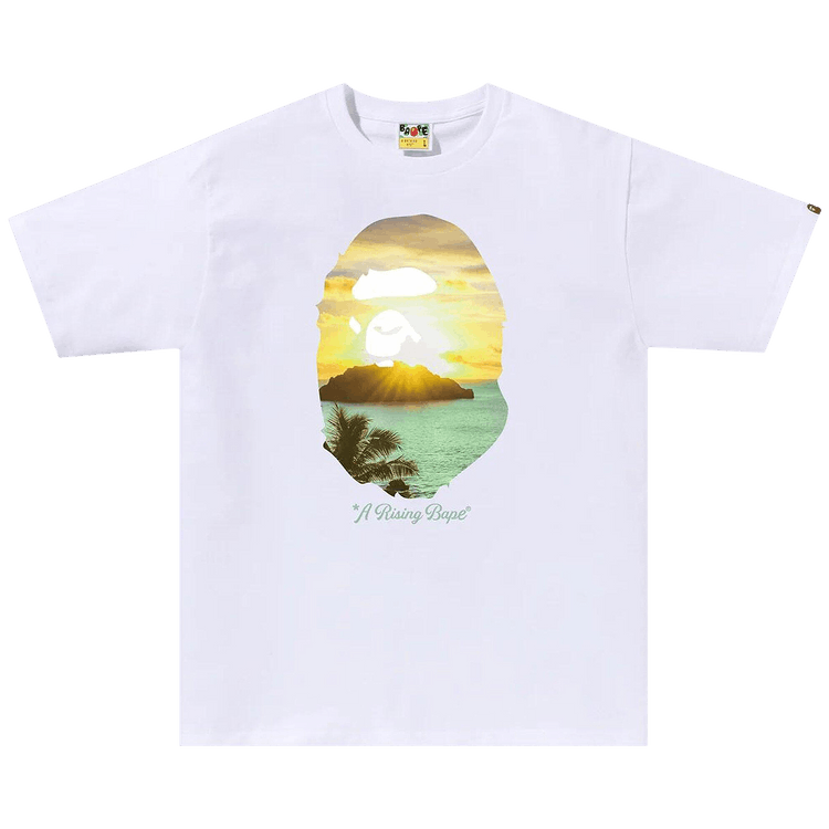A BATHING APE｜SHORT-SLEEVED ROUND NECK T-SHIRTS (Art Pr A Bathing Ape AW18 One Point Online limited Embroidered