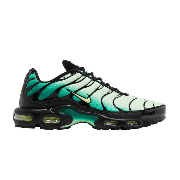 Кроссовки Nike Air Max Plus 'Vapor Green Gradient'