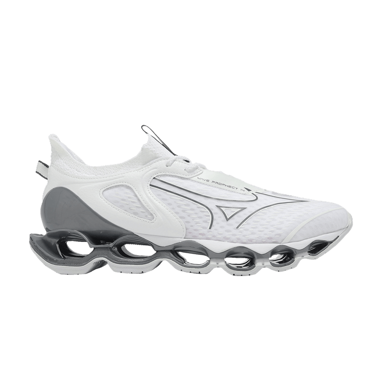 Buy Mizuno Wave Prophecy 14 'White Silver' - J1GC255132 | GOAT