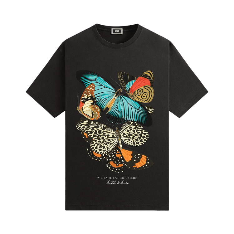美品！kith Tシャツ 1616503_00.png.png