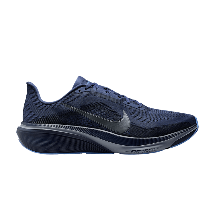nike-pegasus-42-ib1873-401