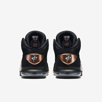 nike zoom penny 6 copper