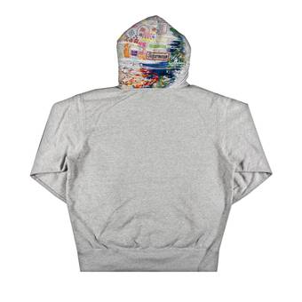 Supreme Globe Zip Up Hooded Sweatshirt 'Heather Grey' | GOAT