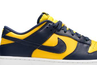 Buy Dunk Low 'Michigan' 2021 - DD1391 700 - Blue | GOAT