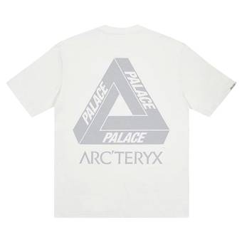 Buy Palace x Arc'teryx T-Shirt 'White' - P19ARXTS006 | GOAT