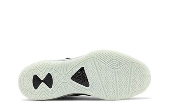 lebron viii qs space jam