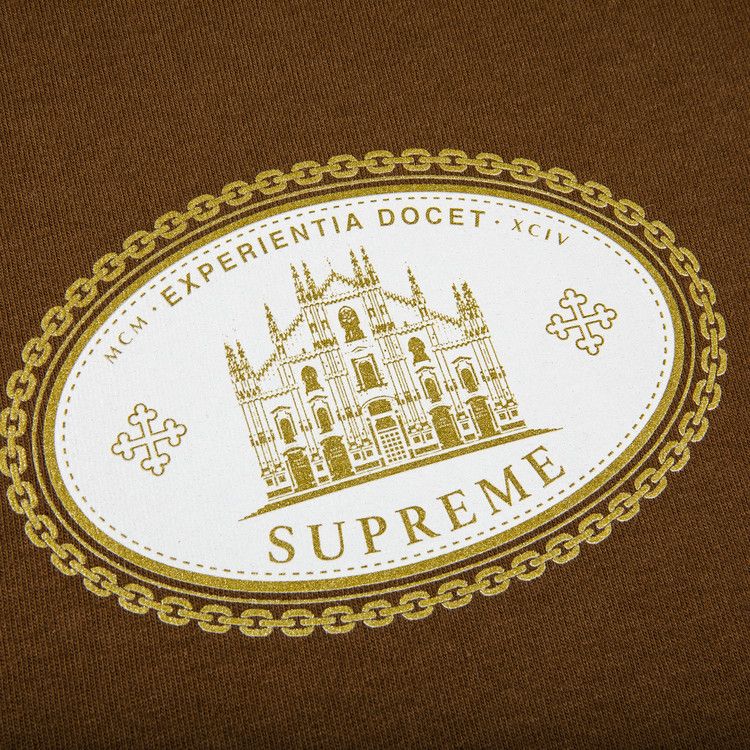 Buy Supreme Experientia Tee 'Brown' - FW21T59 BROWN | GOAT