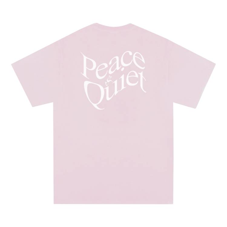 Buy Museum of Peace & Quiet Warped Wordmark T-Shirt 'Dusty Pink