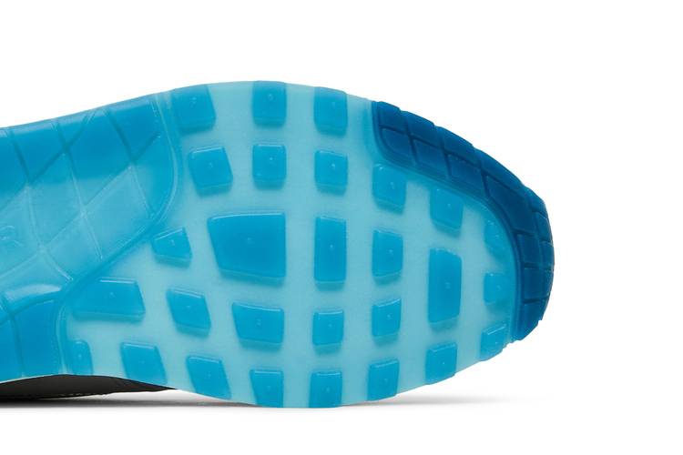 Slight Shades Of Blue On The Nike Air Max 1 Premium •