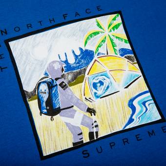 Supreme / The North Face Sketch S/S Top Tシャツ/カットソー(半袖/袖なし) 公式超安い