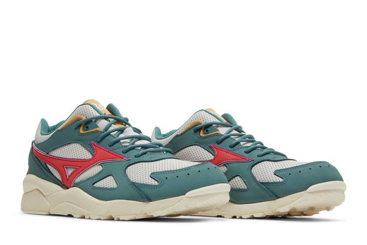 Mizuno x patta