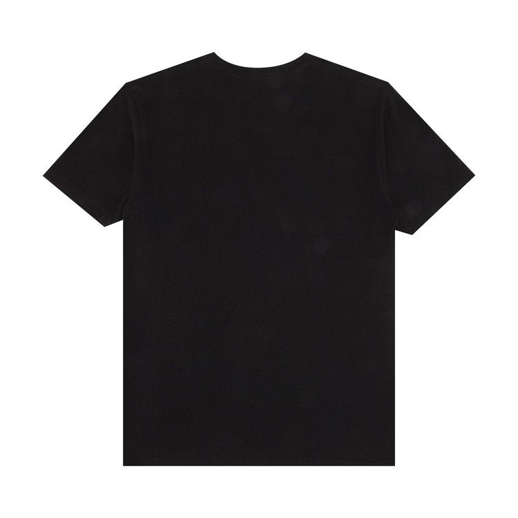 Stussy Crown Wreath T-Shirt Black
