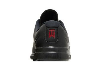 Buy Nike Air Zoom Tiger Woods '20 'Black' CI4510 001 GOAT