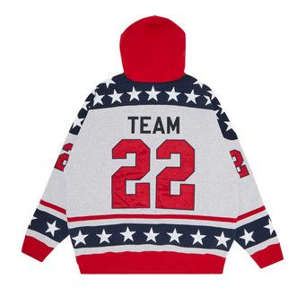 Buy Supreme Hockey Hooded Sweatshirt 'Ash Grey' - FW22SW42 ASH