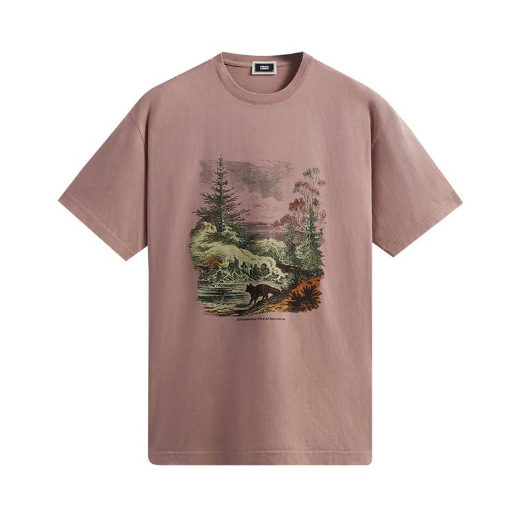 Buy Kith Nature Society Vintage Tee 'Dusty Quartz' - KHM030736