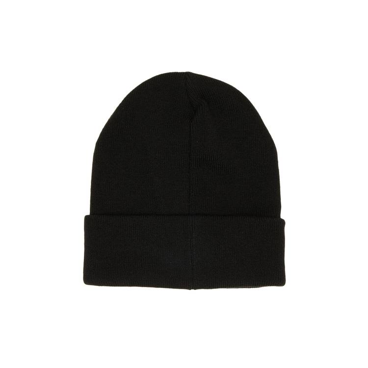 Buy Supreme Capital Beanie 'Black' - FW22BN15 BLACK | GOAT